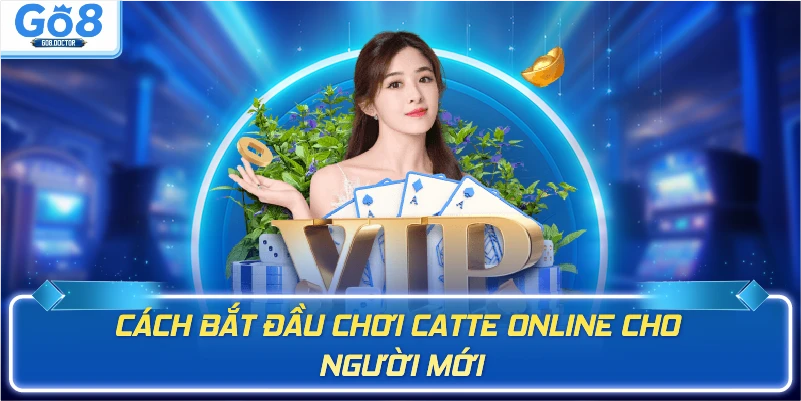 Cách bắt đầu chơi catte cho người mới