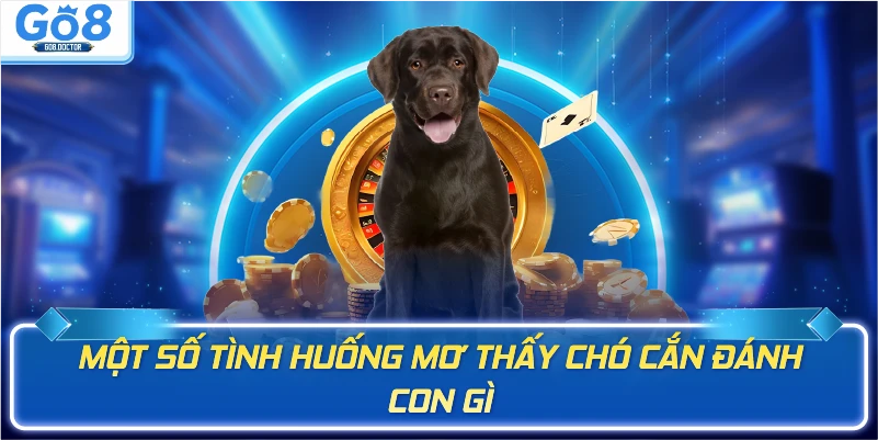 Một số tình huống mơ thấy chó cắn đánh con gì