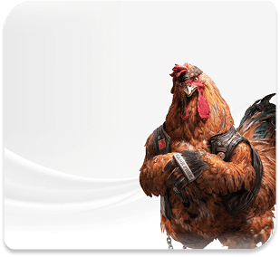 cockfight banner go8